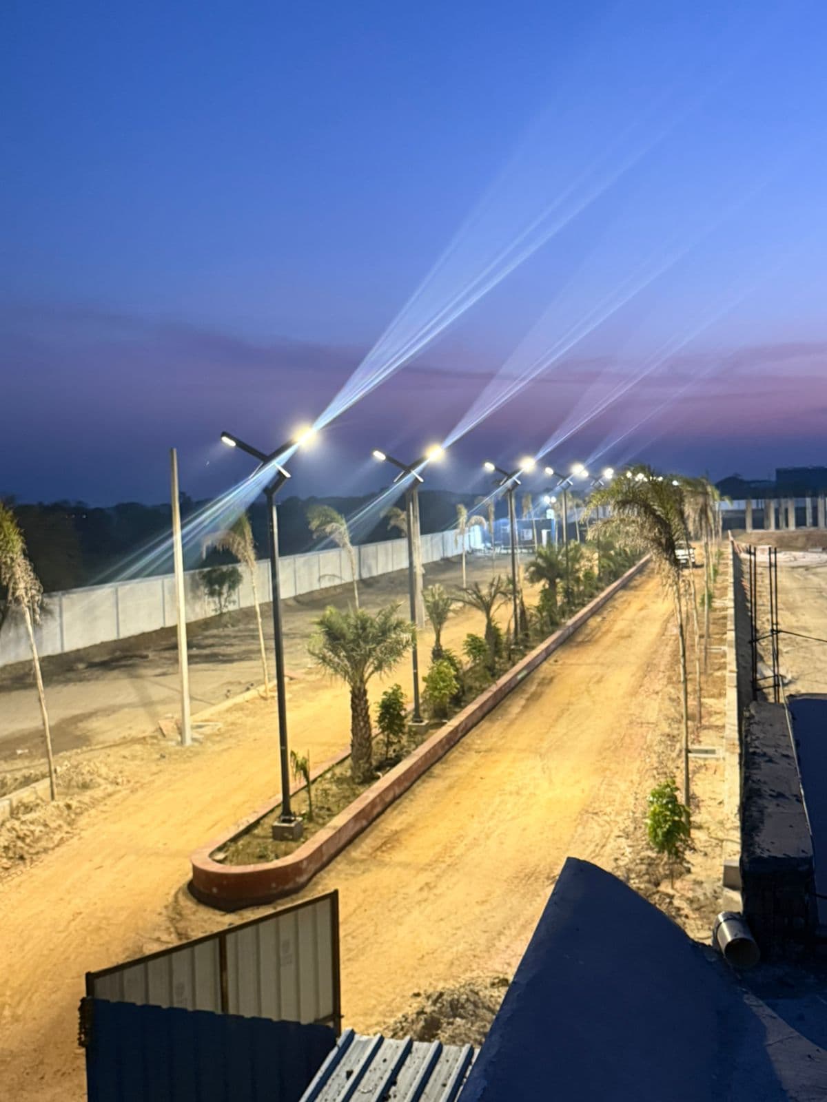 Installed street lighting columns along an unfinished road lined with palms at dusk